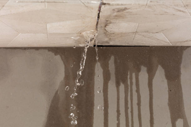Professional Flood Damage Cleanup technician working in Vina, AL